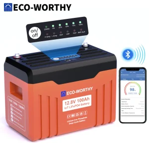 ECO-WORTHY 12V 100AH LiFePO4 Lithium Battery